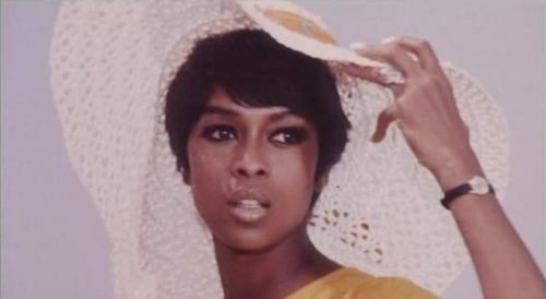 Lola Falana Net Worth Bio Wiki Age Height The History Culture And