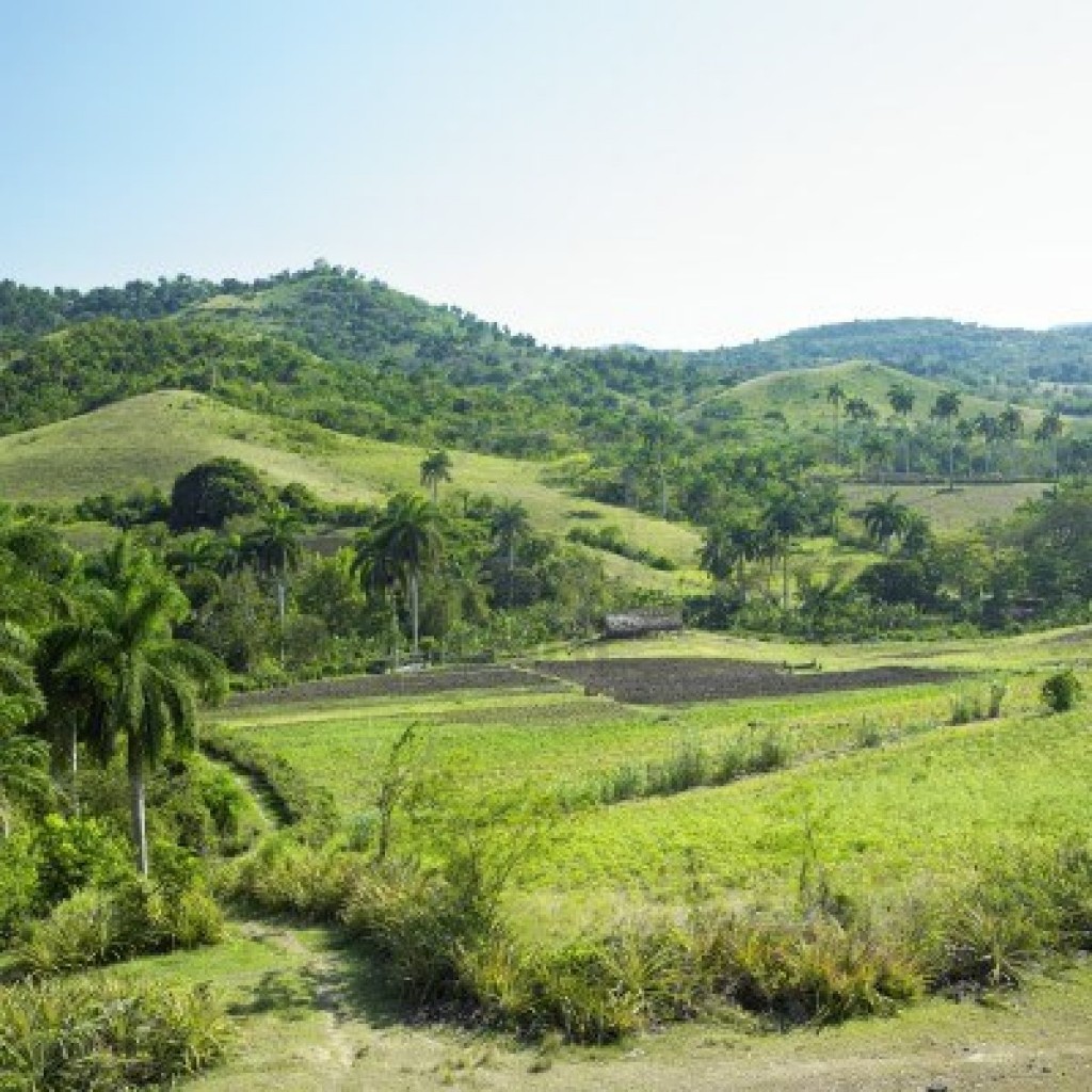 8339199-paisaje-de-la-provincia-de-holgu-n-cuba