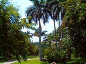 CUBA, PINAR DEL RIO Soroa’s Orchid Garden and Waterfall. ** CUBA, PINAR ...