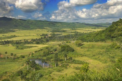 5398321-una-vista-del-paisaje-tropical-con-vegetacion-de-las-zonas-rurales-en-el-campo-cubano