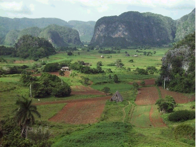 vinales_tal (3)