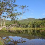 12854538-cuba-reserva-de-la-biosfera-famoso-en-sierra-del-rosario-montana-las-terrazas