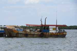 ferrocemento