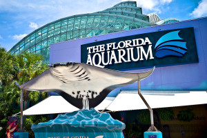 tampa_aquarium