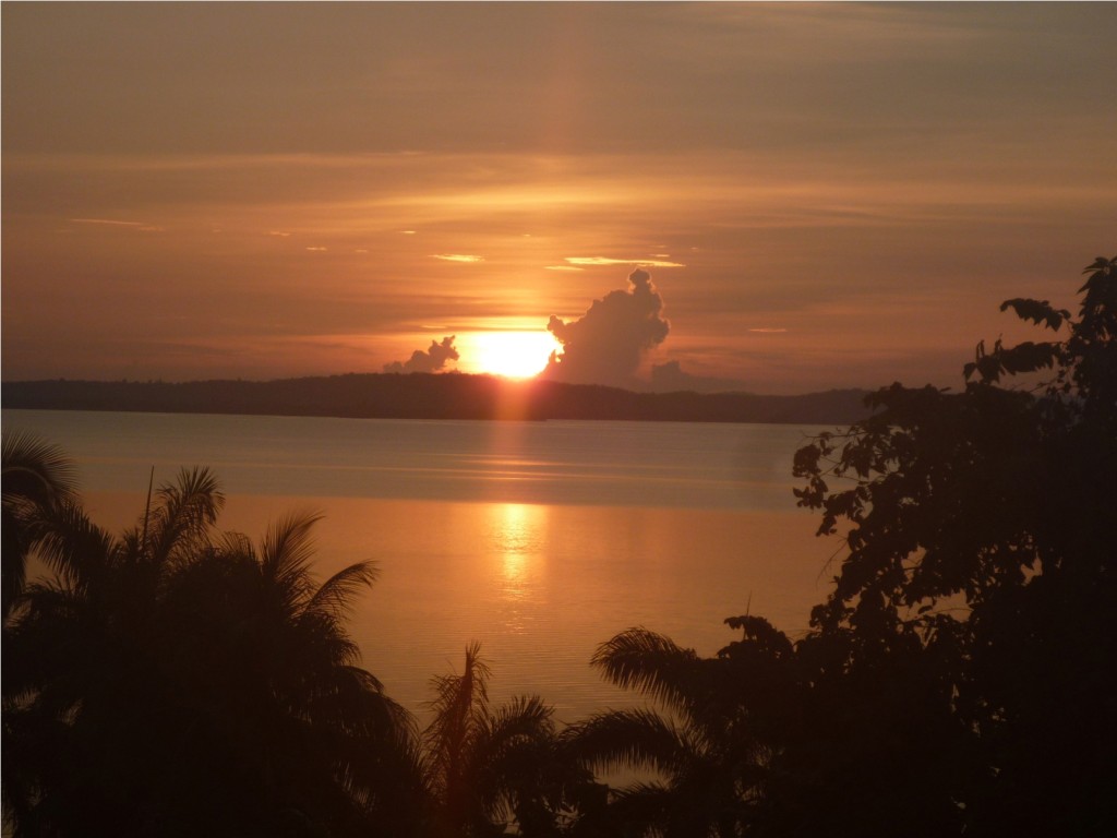 Bahía de Levisa, Mayarí, Holguín. Autor: Sara Remedios Martín Algunos especialistas definen a la bahía de Levisa como una de las bahías de bolsa más grande del país. Su nombre lo toma del río Levisa, el cual nace en la Sierra Cristal y desemboca allí. En su vegetación aparecen formaciones de mangle rojo, negro, patabanes, etc., que integran la barrera defensiva costera. Menguadas poblaciones de amazona leucocephala (pericos, cotorras) habitan en su entorno.