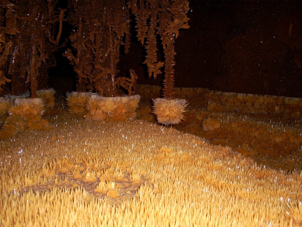 CUBA HOY/TODAY: Caverna El Panal, Sierra Guasasa, Parque Nacional Viñales, Pinar del Río. Autor: Raudel del Llano Hernández Ubicada en valle de Viñales, se encuentra una verdadera maravilla de la espeleología cubana, con formaciones cristalinas y restos fósiles de animales extintos.