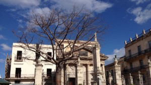 La Ceiba del Templete, LA Habana. 