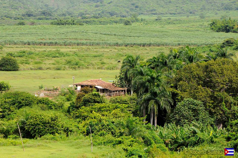 CUBA TODAY/HOY.