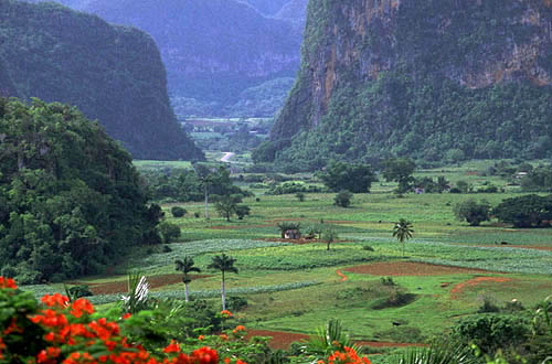 CUBA HOY/TODAY.