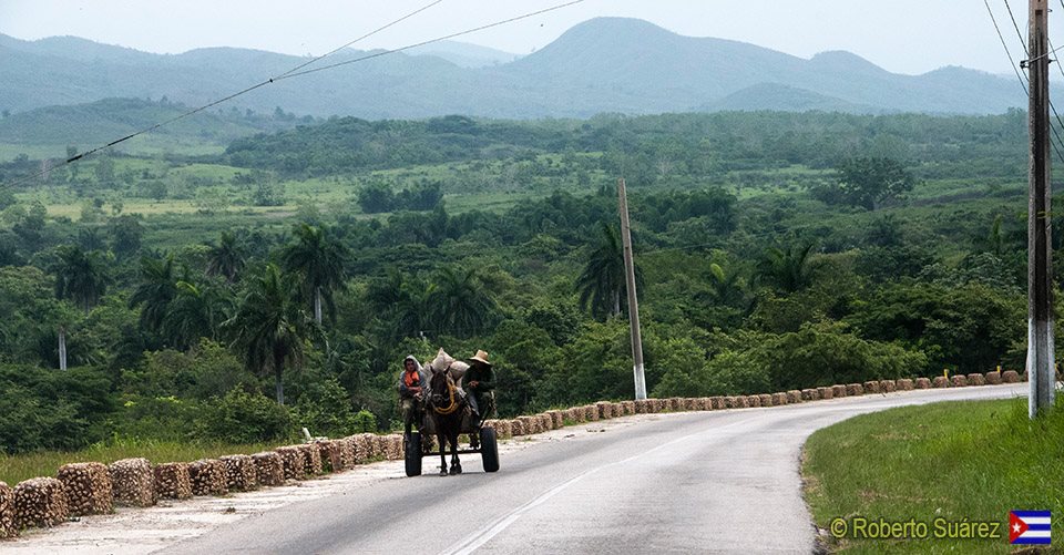 CUBA TODAY-HOY. 