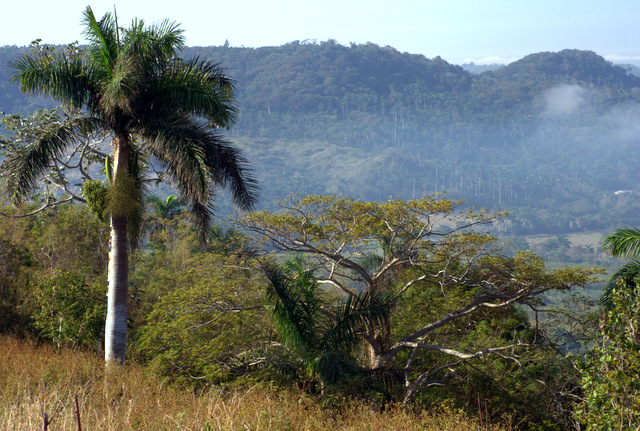 CUBA TODAY/HOY.