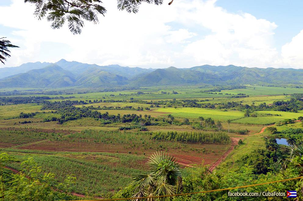 CUBA HOY/TODAY:  Un bello paisaje del campo cubano. 