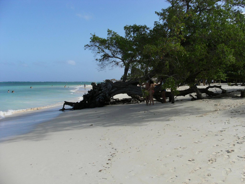 CUBA HOY/TODAY:  Playa de Cuba. 