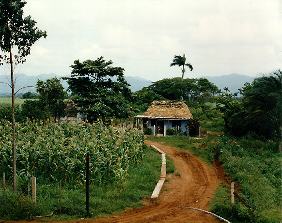 CUBA TODAY/HOY:  Paisaje del Campo Cubano. 