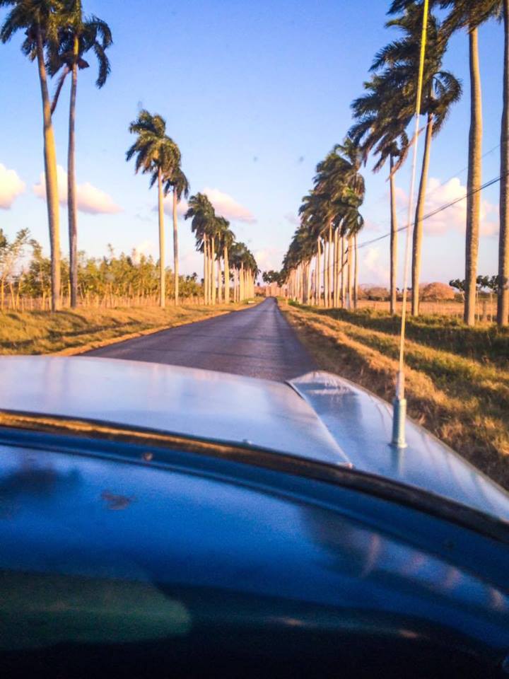 CUBA TODAY/HOY: Carretera de Unión de Reyes, Matanzas, Cuba. 