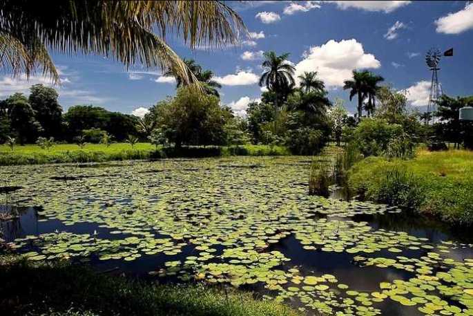 CUBA PHOTOS. 