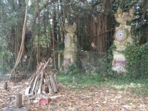 TODAY /HOY PHOTOS: Ruins of the Old Tropical Factory in Habana.