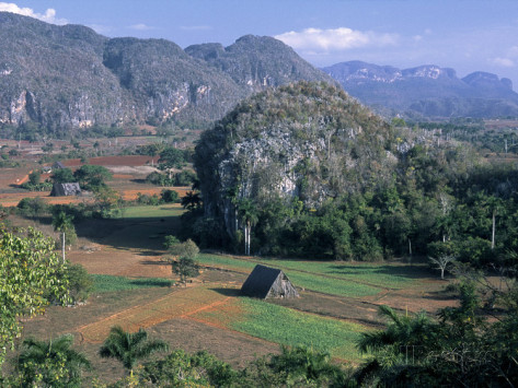 tina-buckman-tobacco-fields-valle-de-vinales-cuba