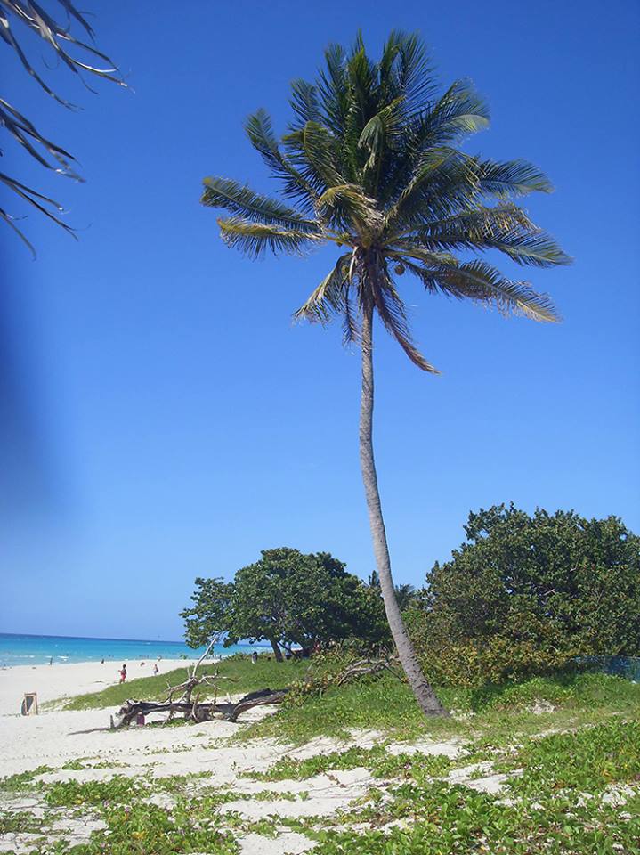 CUBA HOY/TODAY: Playa de Varadero. 