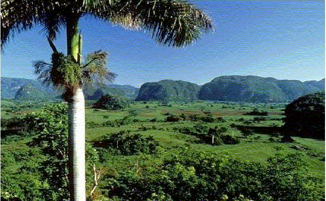 paisaje-cubano-edit-1