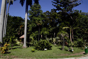 quinta2