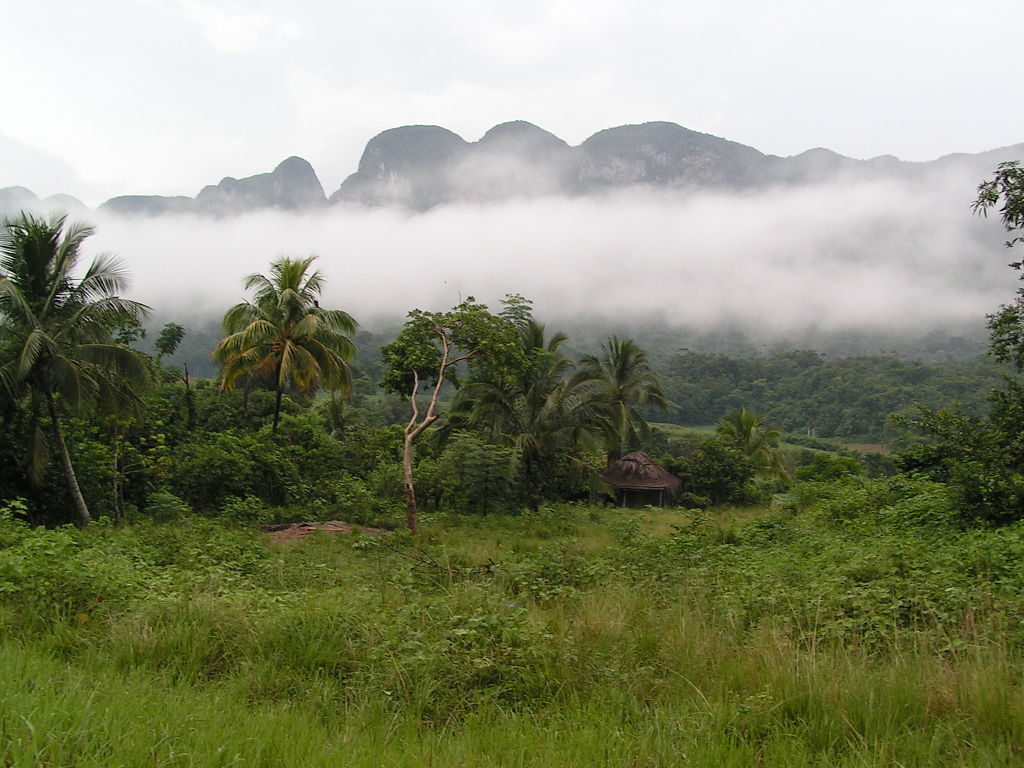 1024px-nebel_im_valle_des_vinales_kuba