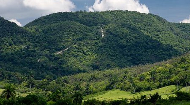 PAISAJE DE CUBA. 