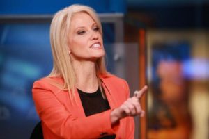  Kellyanne Conway, important HR of Donald Trump  transition organization.