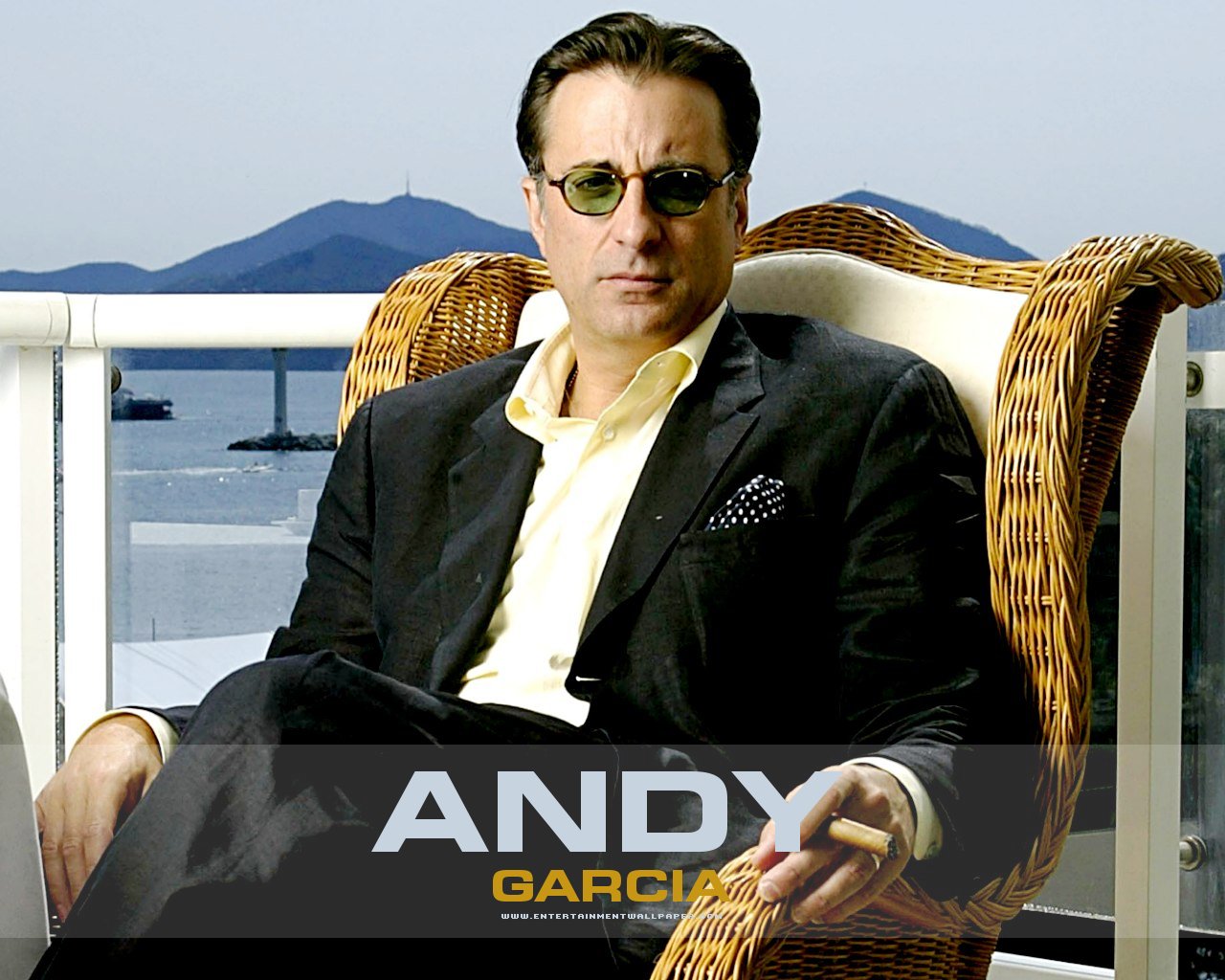 Cuban Actor Andy García.