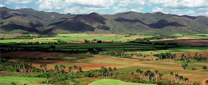 Shimon-Haber-Cuba