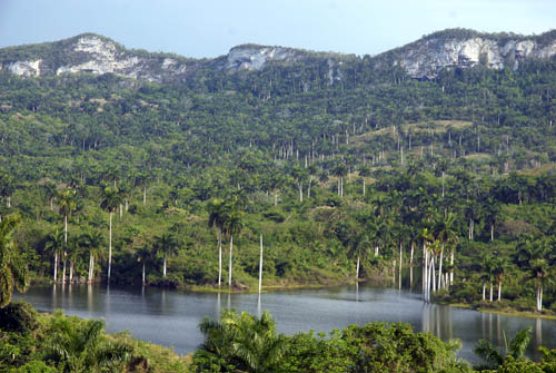 CUBA PHOTOS. 