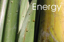 home_energy2