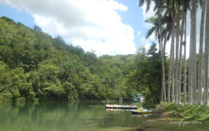 rio-canimar-la-arboleda