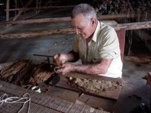 Tobacco_Roller_on_Plantation_Near_Pinar_del_Rio_-_Cuba