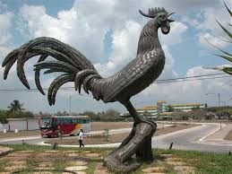 En Cuba el gallo de Morón es una escultura de bronce de tres metros y tres toneladas, mientras en España hay dos, pero más pequeñas.