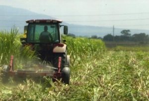 cuba-campesinos-tierra-580x393