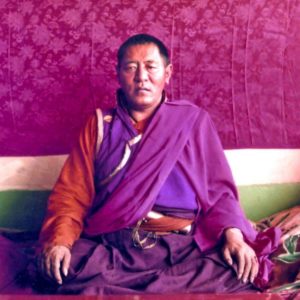 fa8d425e095c1a23dedcb383f37b7789--tibet-yoga