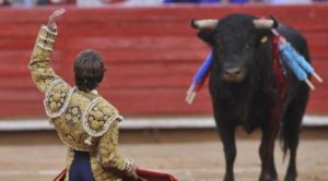 toros-corrida