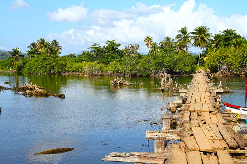 alejandro-de-humboldt-national-park-baracoa-cuba-rio-miel-bridge-part-of-alejandro-de-humboldt