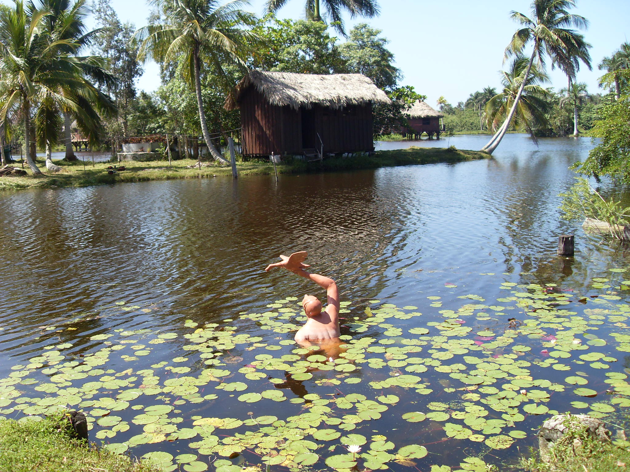 Laguna del Tesoro, Cuba