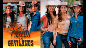 noticia-pasion-de-gavilanes-elenco