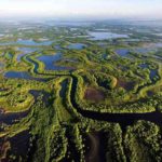 cienaga-de-zapata-Visitas-Guiadas-en-la-Habana-y-Cuba-Guías-Recorridos-