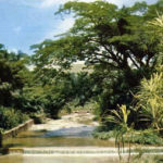 sierra-del-rosario-pinar-del-rio-Cuba-06