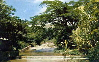 sierra-del-rosario-pinar-del-rio-Cuba-06