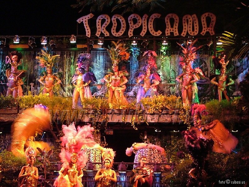 tropicana1