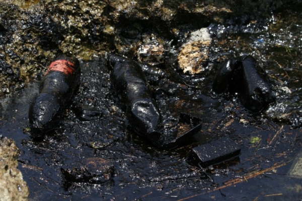 bahia_habana_contaminacion_petroleo