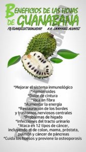 beneficios-hojas-de-guanabana-cuba