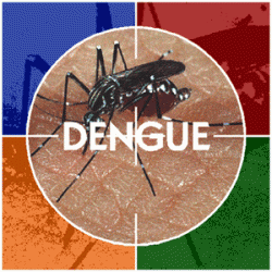 logo-dengue-250x250