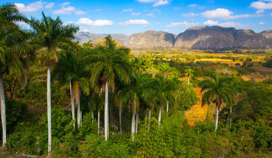 cuba-countryside