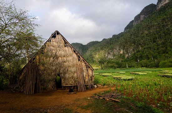 cuban-country-side-by